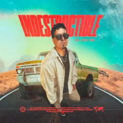 Indestructible