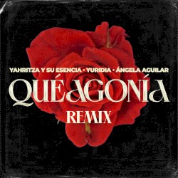 Qué agonía (remix)