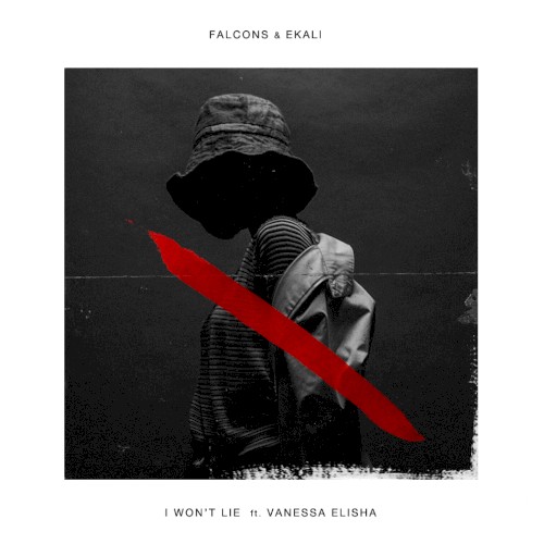 I Won't Lie