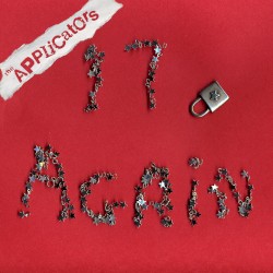17 again