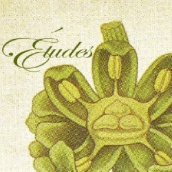 Études