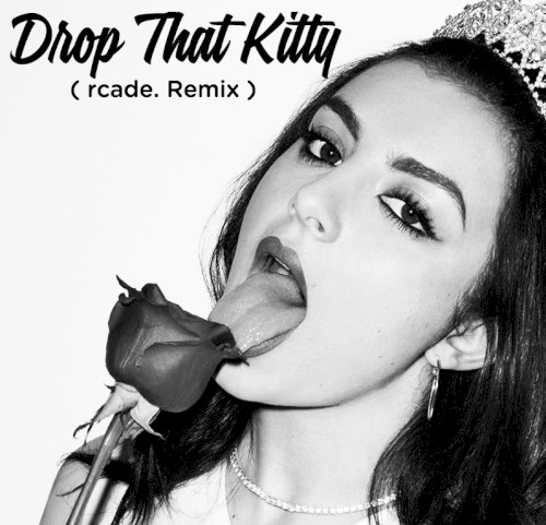 Drop That Kitty (rcade. Remix)