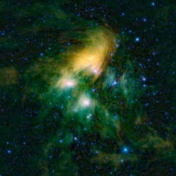 matariki