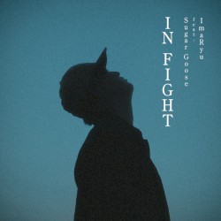 IN FIGHT