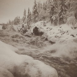 Desolace