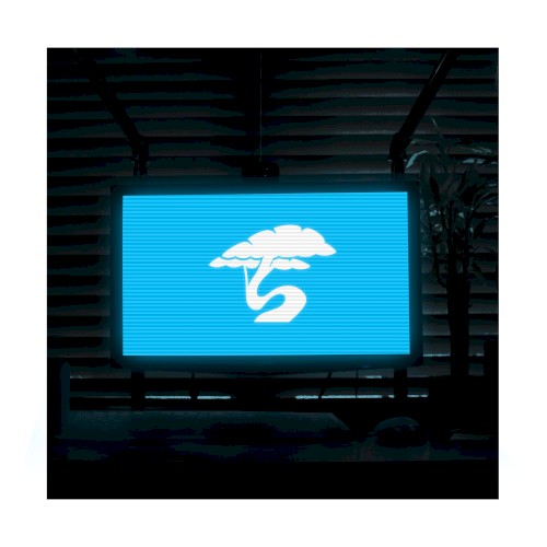 Shycap