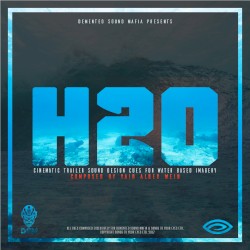 H20