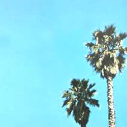 throwing balls in the air to get a baldessari