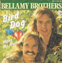 Bird Dog