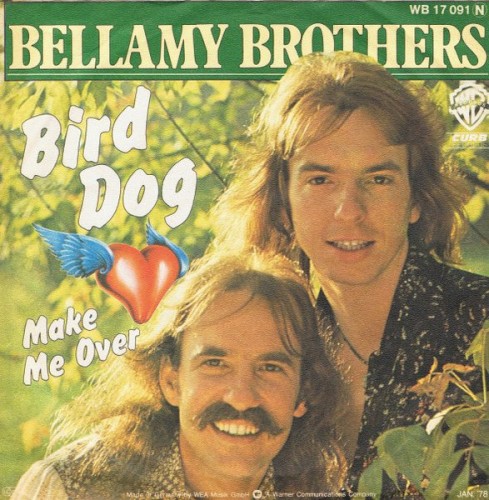 Bird Dog