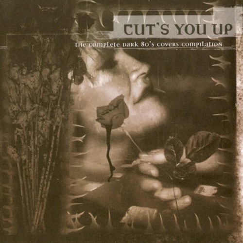 Cut’s You Up