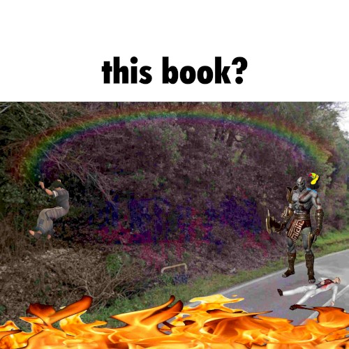 Bitches in the States / Jane Whyte Meets DaUndesirable Jane Reels (Reduxtionary Decisions) [Double A-Side Single]