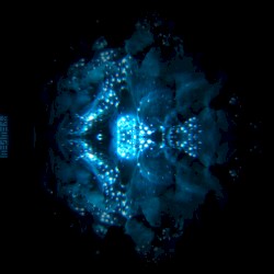 Mesmera
