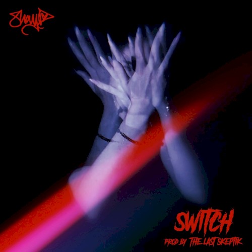 Switch