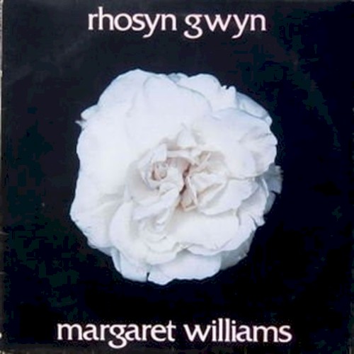 Rhosyn Gwyn