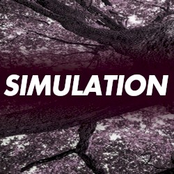 Simulation