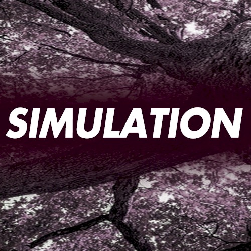 Simulation