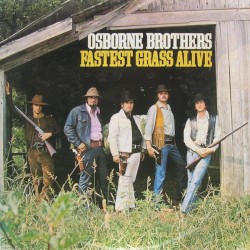 Fastest Grass Alive