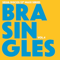 Tudo Faz Sentido (Brasingles vol. 4)