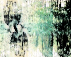 Daughters of the Earth