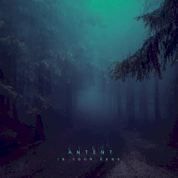 In Your Arms (remixes)