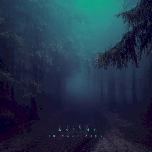 In Your Arms (remixes)