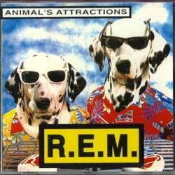 Animal's Attractions