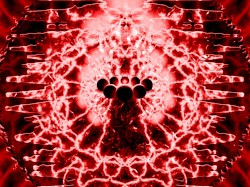 Robouroboros EP