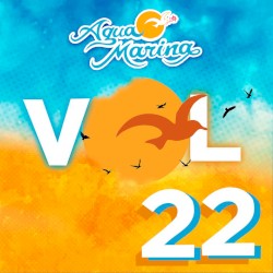 Vol. 22: Volumen 22