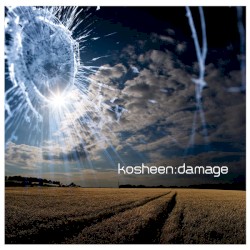 Damage