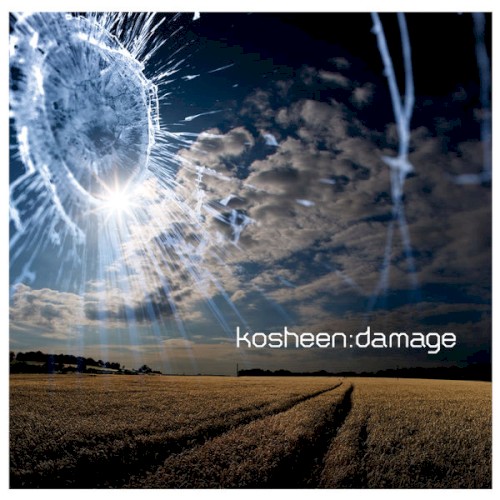 Damage