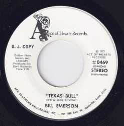 Texas Bull / A Walk in Jodie's Garden