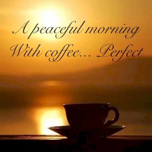A Peaceful Morning With Coffee… Perfect