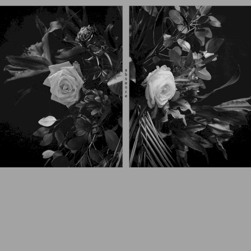 Absence