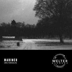 WELTER266LP