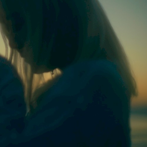 Before We Fade
