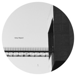 Grey Report 01