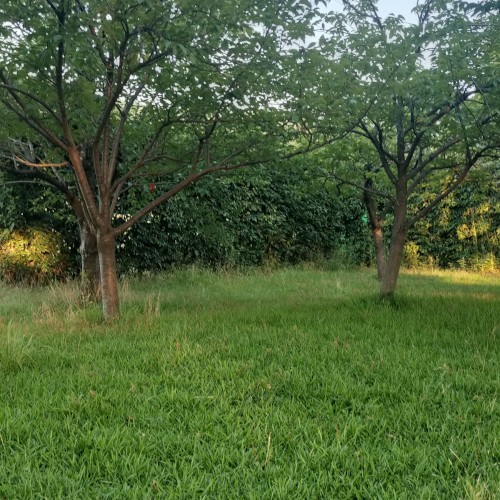 ambient kyoto 0005