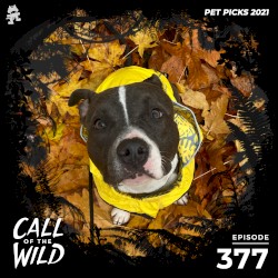 2021-12-01: 377 – Monstercat: Call of the Wild (Pet Picks)