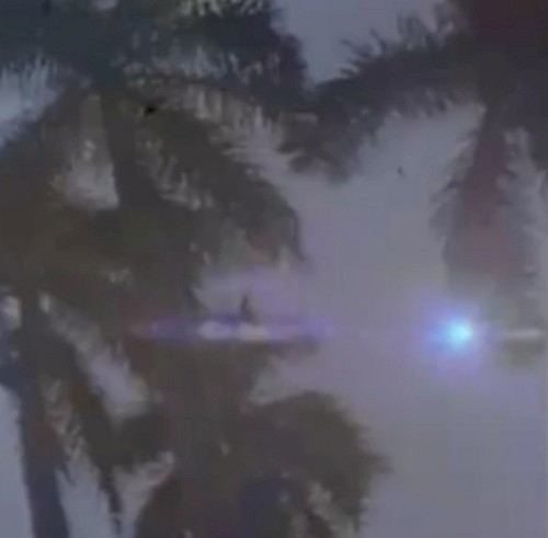 palmvibe EP