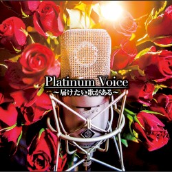 Platinum Voice ～届けたい歌がある～