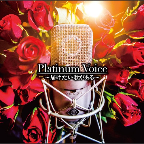 Platinum Voice ～届けたい歌がある～