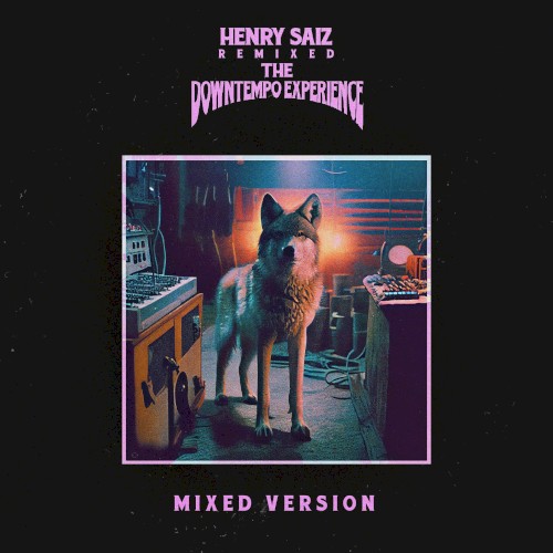 Remixed: The Downtempo Experience
