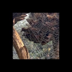 Limekiln / Waste