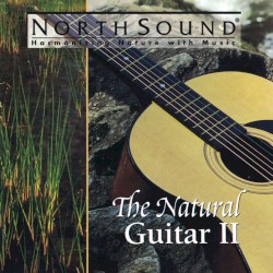 The Natural Guitar II