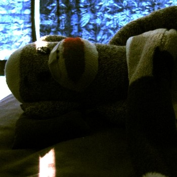 Too Late to Sleep