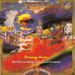 Strange Fruit: Hut Recordings/The Peel Sessions