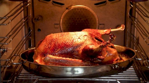 Mole Cooks His Goose