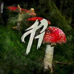 Beware the Forest’s Mushrooms