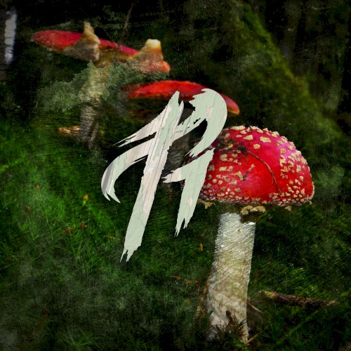 Beware the Forest’s Mushrooms